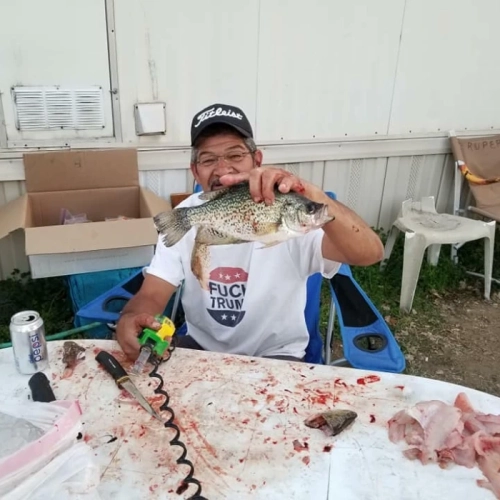 Tooter cutting up a fish